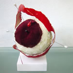 Gif-t- Appel